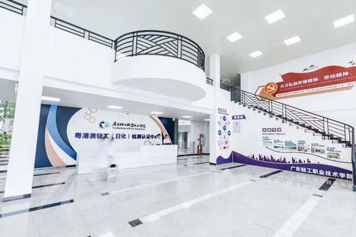 广东新设职业本科院校首次招生，软件服务专业迎来210名学子